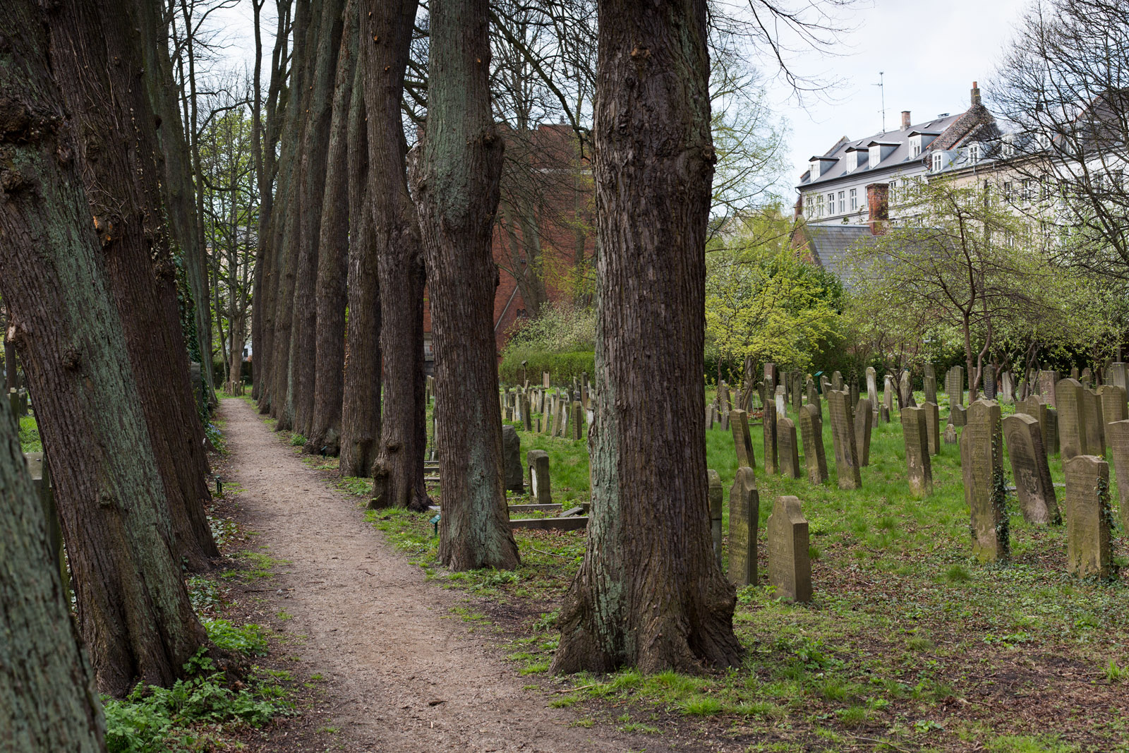 Copenhagen, Denmark. All rights reserved © Tomas Bertelsen